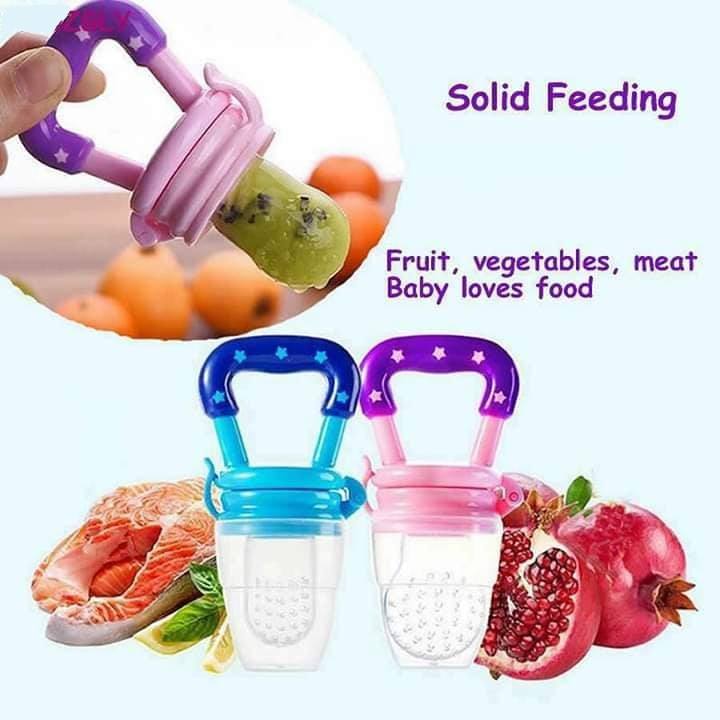 Fruit Feeder Pacifier- Blue